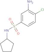 3-Amino-4-chloro-N-cyclopentylbenzenesulfonamide