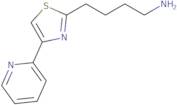 4-[4-(Pyridin-2-yl)-1,3-thiazol-2-yl]butan-1-amine