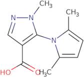 5-(2,5-Dimethyl-1H-pyrrol-1-yl)-1-methyl-1H-pyrazole-4-carboxylic acid