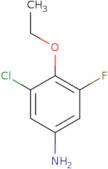 3-Chloro-4-ethoxy-5-fluoroaniline