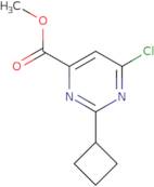 4,5-Dibromo-2,3-dimethoxy-benzonitrile