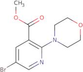 Methyl 5-bromo-2-morpholinonicotinate