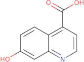 7-Hydroxyquinoline-4-carboxylic acid