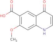 7-Methoxy-4-oxo-1,4-dihydroquinoline-6-carboxylic acid