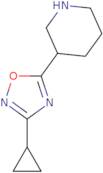 3-(3-Cyclopropyl-1,2,4-oxadiazol-5-yl)piperidine