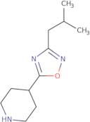 4-[3-(2-Methylpropyl)-1,2,4-oxadiazol-5-yl]piperidine