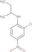 N-(Butan-2-yl)-2-chloro-4-nitroaniline