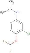 3-Chloro-4-(difluoromethoxy)-N-propan-2-ylaniline