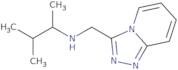 (3-Methylbutan-2-yl)({[1,2,4]triazolo[4,3-a]pyridin-3-ylmethyl})amine