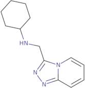 N-{[1,2,4]Triazolo[4,3-a]pyridin-3-ylmethyl}cyclohexanamine