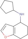 N-Cyclopentyl-4,5,6,7-tetrahydro-1-benzofuran-4-amine