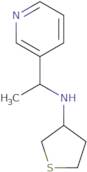 N-[1-(Pyridin-3-yl)ethyl]thiolan-3-amine