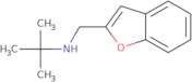 (1-Benzofuran-2-ylmethyl)(tert-butyl)amine