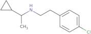 [2-(4-Chlorophenyl)ethyl](1-cyclopropylethyl)amine