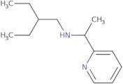 (2-Ethylbutyl)[1-(pyridin-2-yl)ethyl]amine