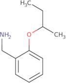 (2-Sec-butoxybenzyl)amine