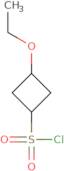 3-Ethoxycyclobutane-1-sulfonyl chloride