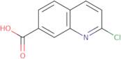 2-Chloroquinoline-7-carboxylic acid