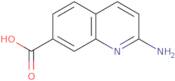 2-Aminoquinoline-7-carboxylic acid