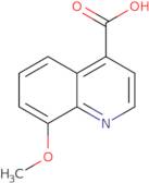 8-Methoxyquinoline-4-carboxylic acid