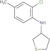 N-(2-Chloro-4-methylphenyl)thiolan-3-amine