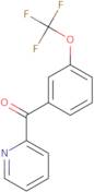 2-Chloro-N-[(2-chlorophenyl)methyl]-N-cyclopropylacetamide