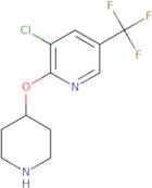 3-Chloro-5-(trifluoromethyl)-2-pyridinyl 4-piperidinyl ether