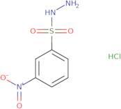 3-Nitrobenzenesulfonohydrazide hydrochloride