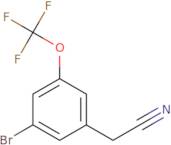 3-Bromo-5-(trifluoromethoxy)phenylacetonitrile