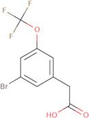 3-Bromo-5-(trifluoromethoxy)phenylacetic acid