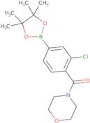 3-Chloro-4-(morpholinocarbonyl)phenylboronic acid pinacol ester