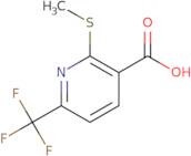 (3-Nitro-1H-pyrazol-5-yl)-(1-piperidyl)methanone