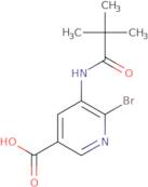 6-Bromo-5-pivalamidonicotinic acid