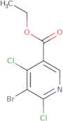 Ethyl 5-bromo-4,6-dichloronicotinate