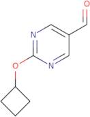 2-Cyclobutoxypyrimidine-5-carbaldehyde