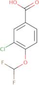 3-chloro-4-(difluoromethoxy)benzoic acid