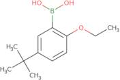 5-tert-Butyl-2-ethoxyphenylboronic acid