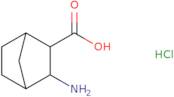 3-Aminobicyclo[2.2.1]heptane-2-carboxylic acid hydrochloride