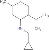 N-(Cyclopropylmethyl)-5-methyl-2-propan-2-ylcyclohexan-1-amine