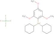 [2,4,6-Trimethoxyphenyl]dicyclohexylphosphonium tetrafluoroborate