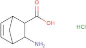 (1R,2S,3R,4S)-3-Aminobicyclo[2.2.1]hept-5-ene-2-carboxylic acid hydrochloride