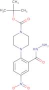 tert-Butyl 4-[2-(hydrazinecarbonyl)-4-nitrophenyl]piperazine-1-carboxylate