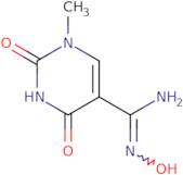 N'-Hydroxy-1-methyl-2,4-dioxo-1,2,3,4-tetrahydropyrimidine-5-carboximidamide