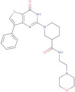 N-(2-Morpholin-4-ylethyl)-1-(4-oxo-7-phenyl-3,4-dihydrothieno[3,2-d]pyrimidin-2-yl)piperidine-3-...