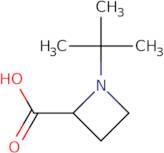 1-tert-Butyl-azetidine-2-carboxylic acid