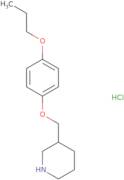 N-(4-[(Thiophen-2-ylmethyl)-amino]-phenyl)-acetamide