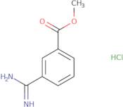 Methyl 3-Carbamimidoylbenzoate HCl