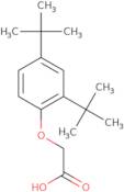 2-[2,4-Di(tert-butyl)phenoxy]acetic acid