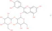 Cyanidin 3-sophoroside chloride