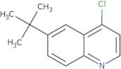 6-tert-Butyl-4-chloroquinoline